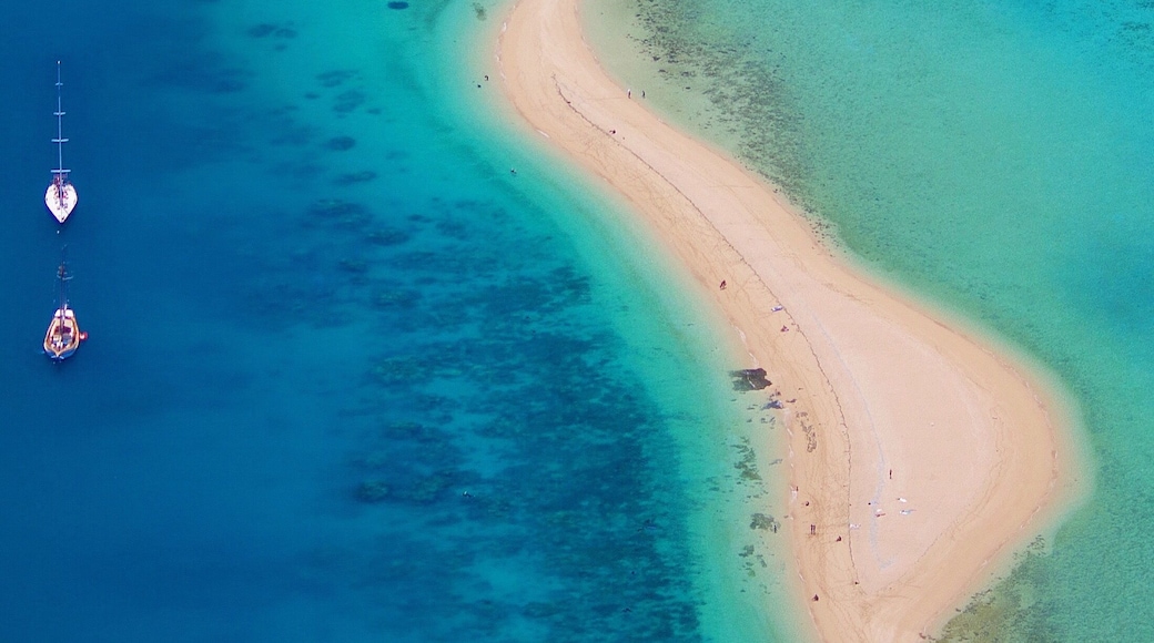 Happy Whitsundays Wednesday! Flying over the beautiful Langford Island in the Whitsundays was incredible, can't wait to go back and do some snorkelling there! ☀️🐠🐟🐢🌴😀
#lovewhitsundays #thisisqueensland #seeaustralia