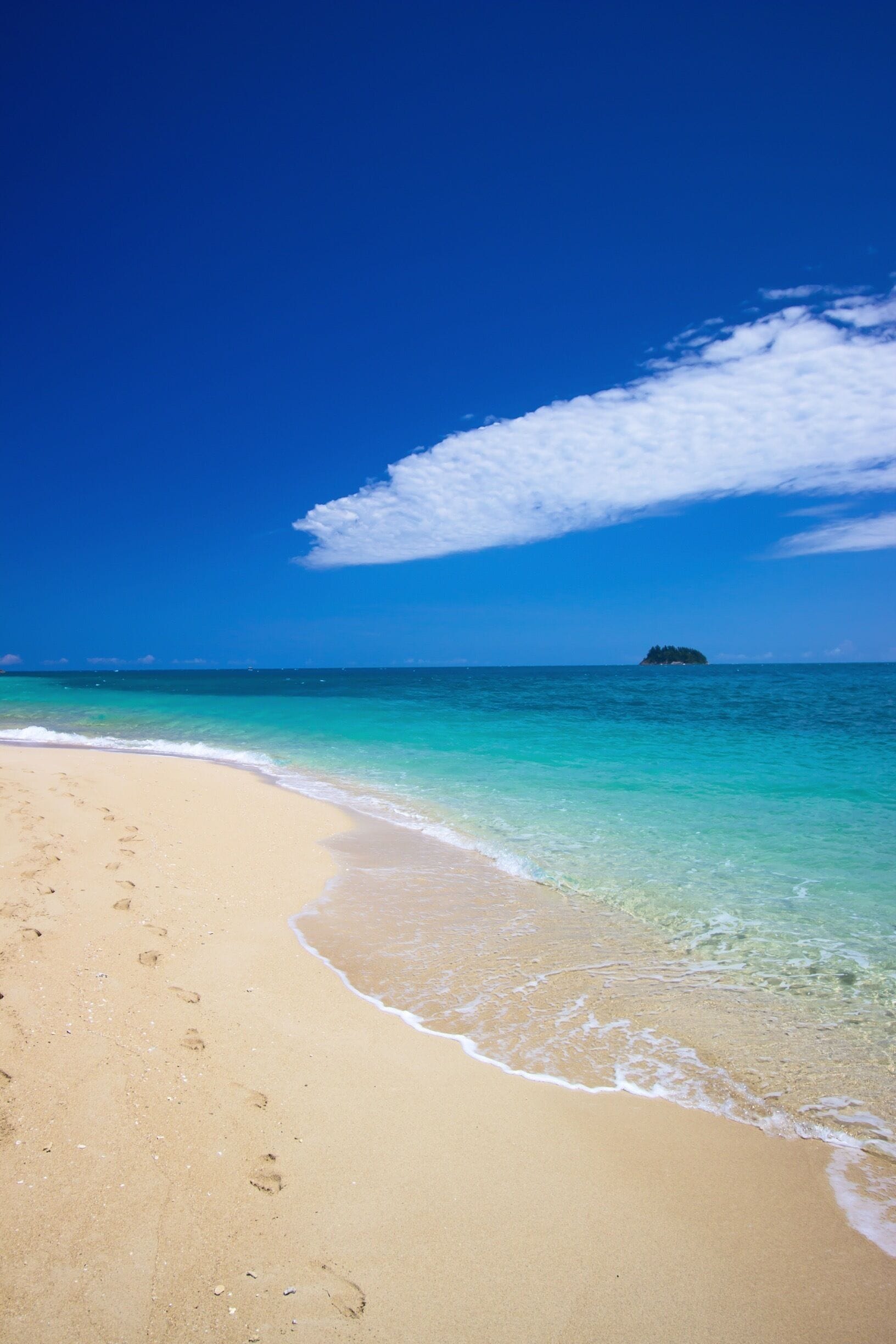 Langford Island  b l u e s  ☀️🐟🐠🌴
#lovewhitsundays #thisisqueensland #seeaustralia