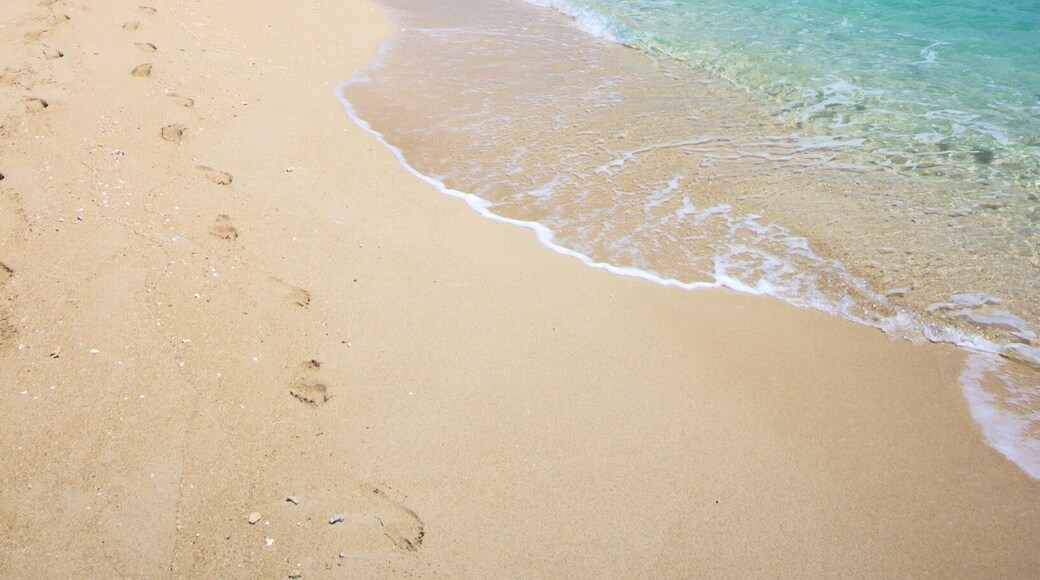 Langford Island b l u e s ☀️🐟🐠🌴
#lovewhitsundays #thisisqueensland #seeaustralia
