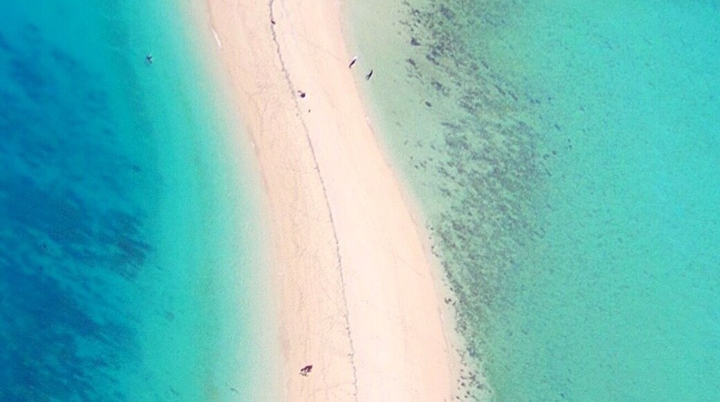 Langford Reef in the Whitsundays. Just imagine spending an afternoon down there with the island all to yourself! ☀️🐟🐠🚁🌴😀
#lovewhitsundays #lovethereef #thisisqueensland #seeaustralia #Blue