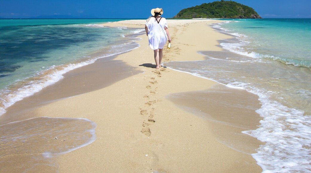 Stunning day with this beauty EJ Palmer at Langford Island! 💃👙🐟🌴☀️
Such an amazing day aboard the Whitsunday Paradise Explorer cruising around to find our own deserted beaches, massive thanks to the legendary John for turning on the magnificent weather yet again and showing us all these hidden gems!