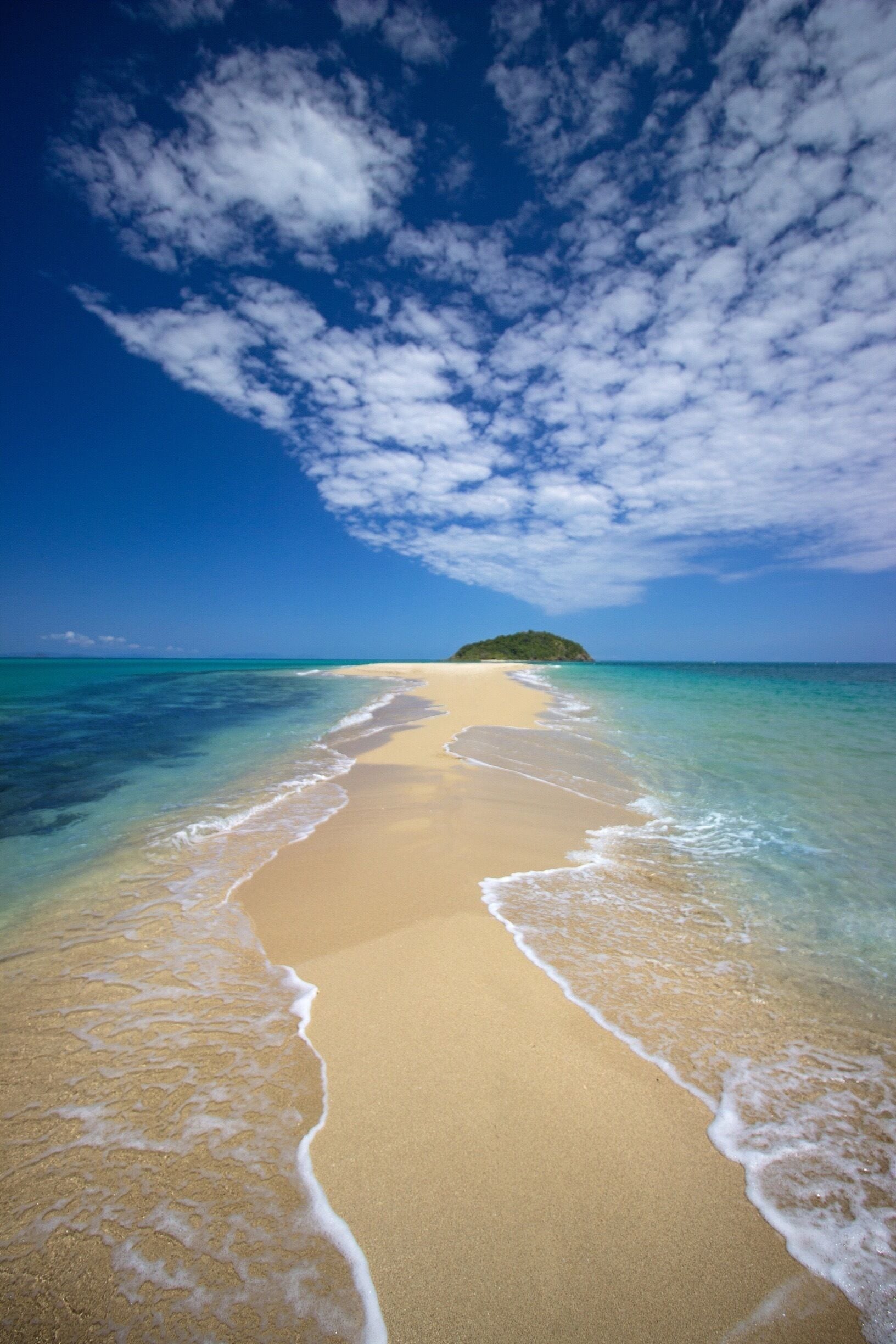 Slice of  p a r a d i s e 🐟🐠🌴☀️