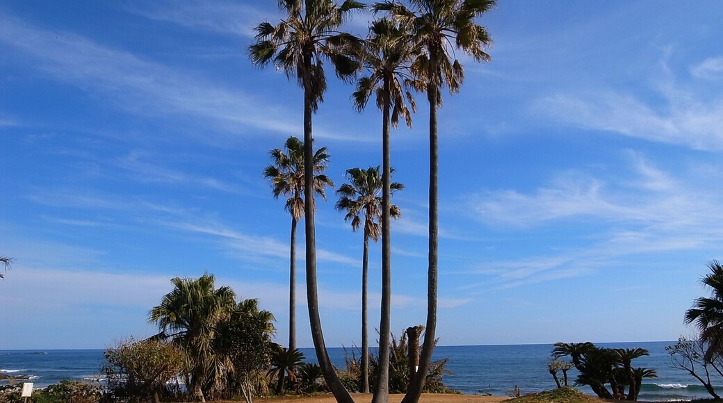 太平洋ドライブイン