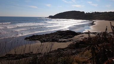 眩しい太平洋ドライブイン
