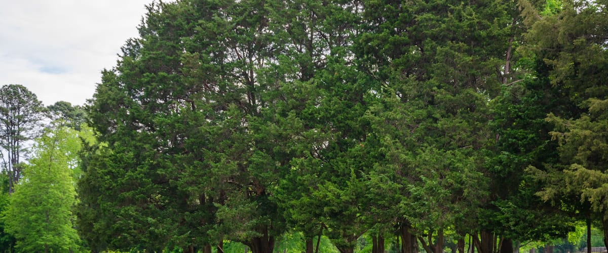 Historic Jamestowne Part of the Colonial National Historical Park in Virginia