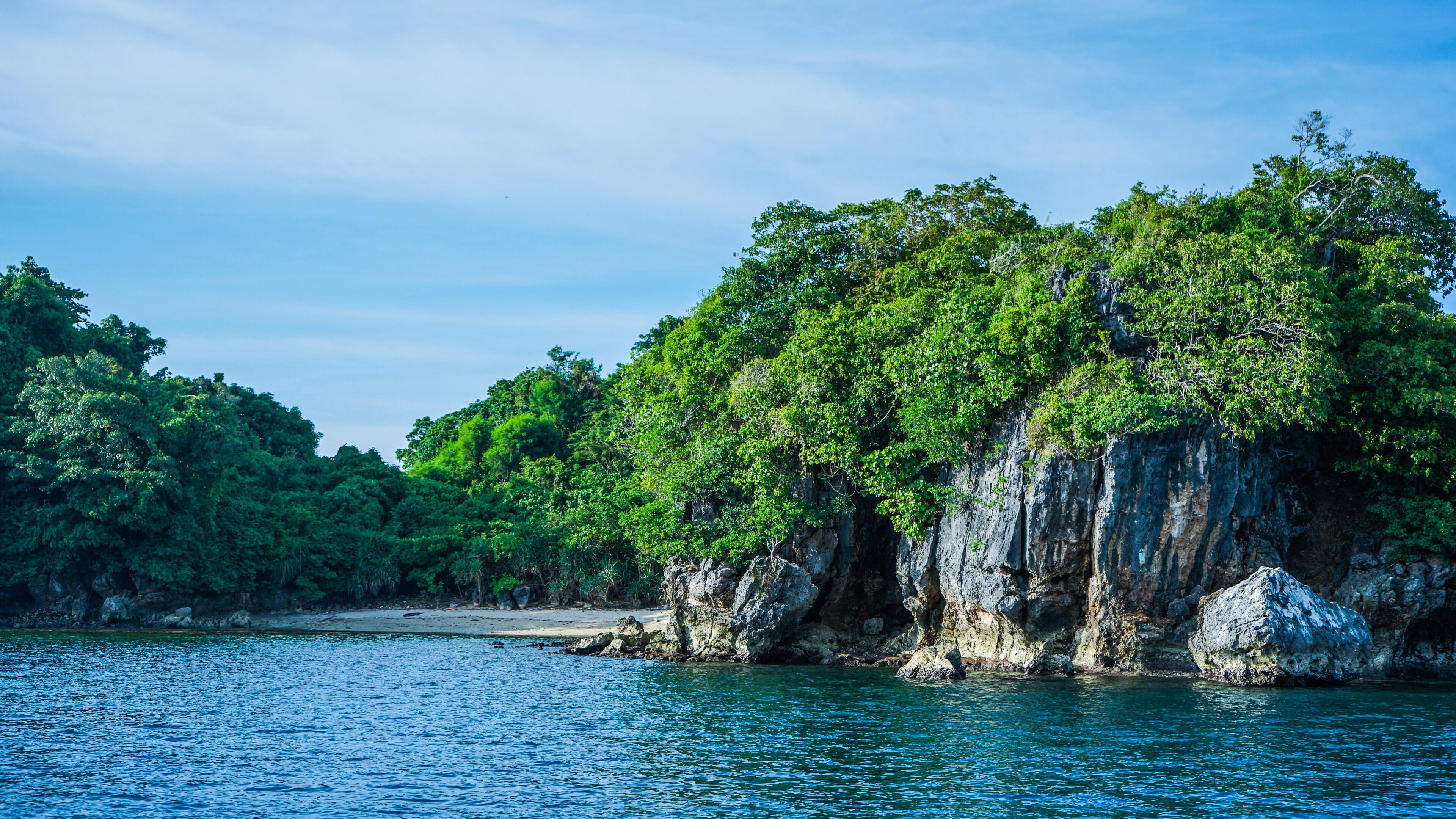 A coastal landscape with dense green foliage and rocky cliffs.