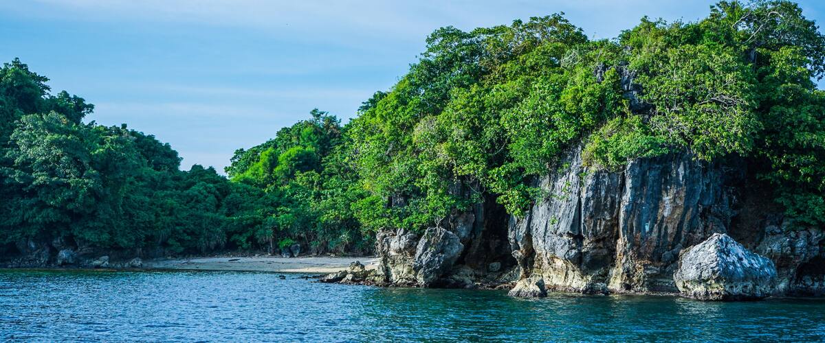 A coastal landscape with dense green foliage and rocky cliffs.