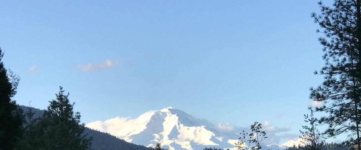 A snow-capped mountain with a forested foreground.
