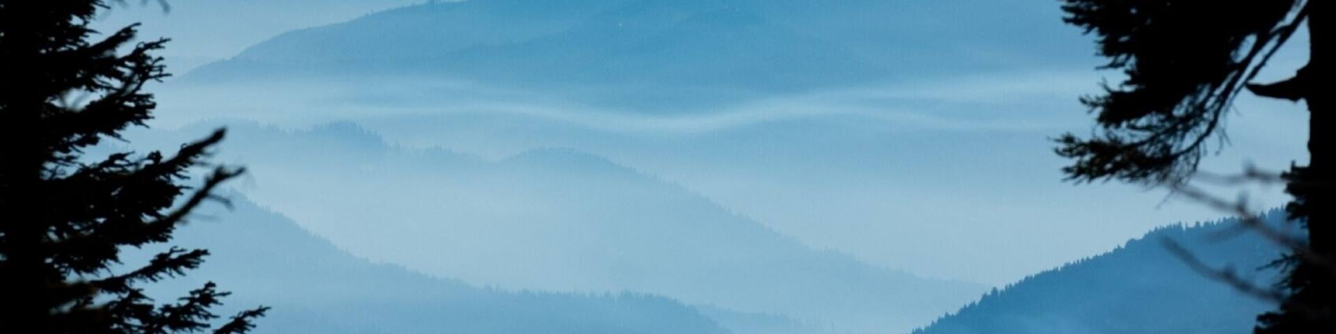 I've never known layers like those in northern California.