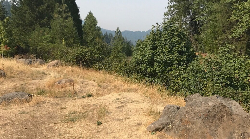 Nice little Vista point off Interstate 5