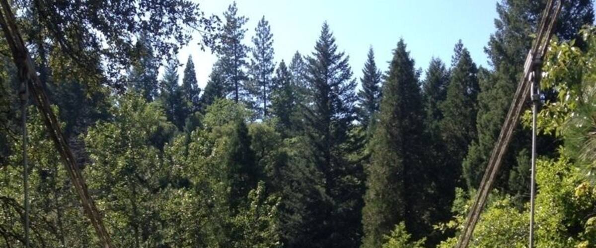 Sims Bridge, a suspension bridge south of Dunsmuir that is regarded as the first major construction project of the CCC in the U.S.