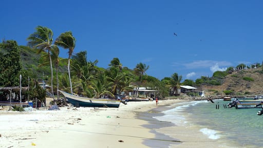 Archipel Los Testigos