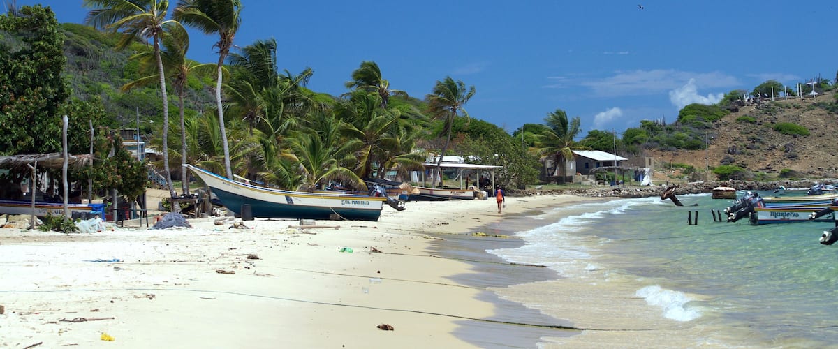A beach with palm trees, boats, and a clear blue sky.