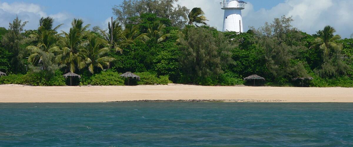 A white lighthouse with a red top on a sandy beach, surrounded by lush green palm trees.