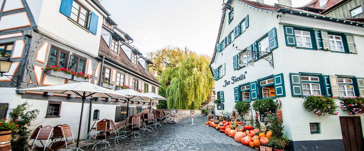 A cobblestone street lined with traditional European buildings, outdoor seating, and autumnal decorations.