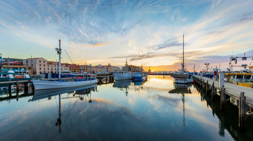 Victoria Dock Hobart Australia at sunrise.