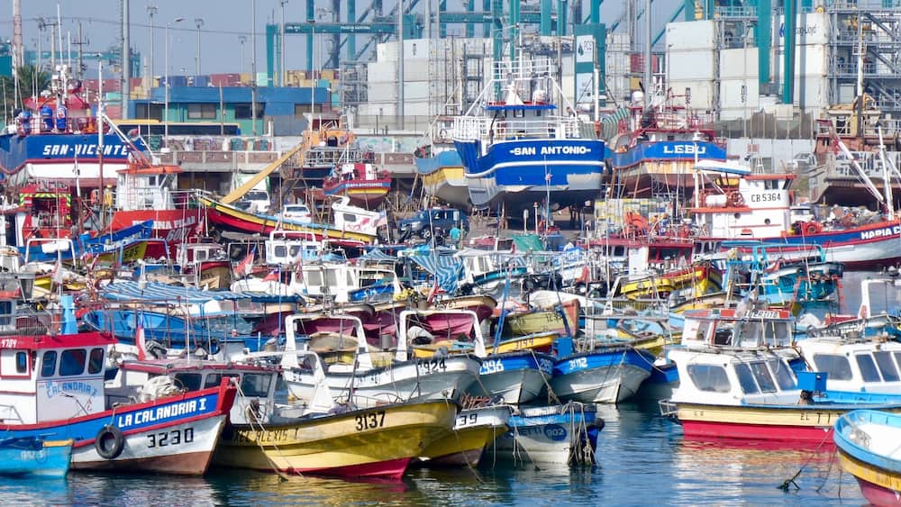 Ein belebter Hafen mit zahlreichen bunten Booten, die an den Kai liegen.