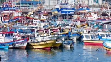 Un puerto concurrido con numerosas embarcaciones de colores amarradas.