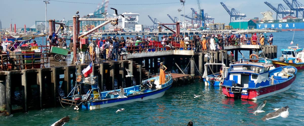 A busy harbor with multiple boats docked, a pier with people, and cranes in the background.