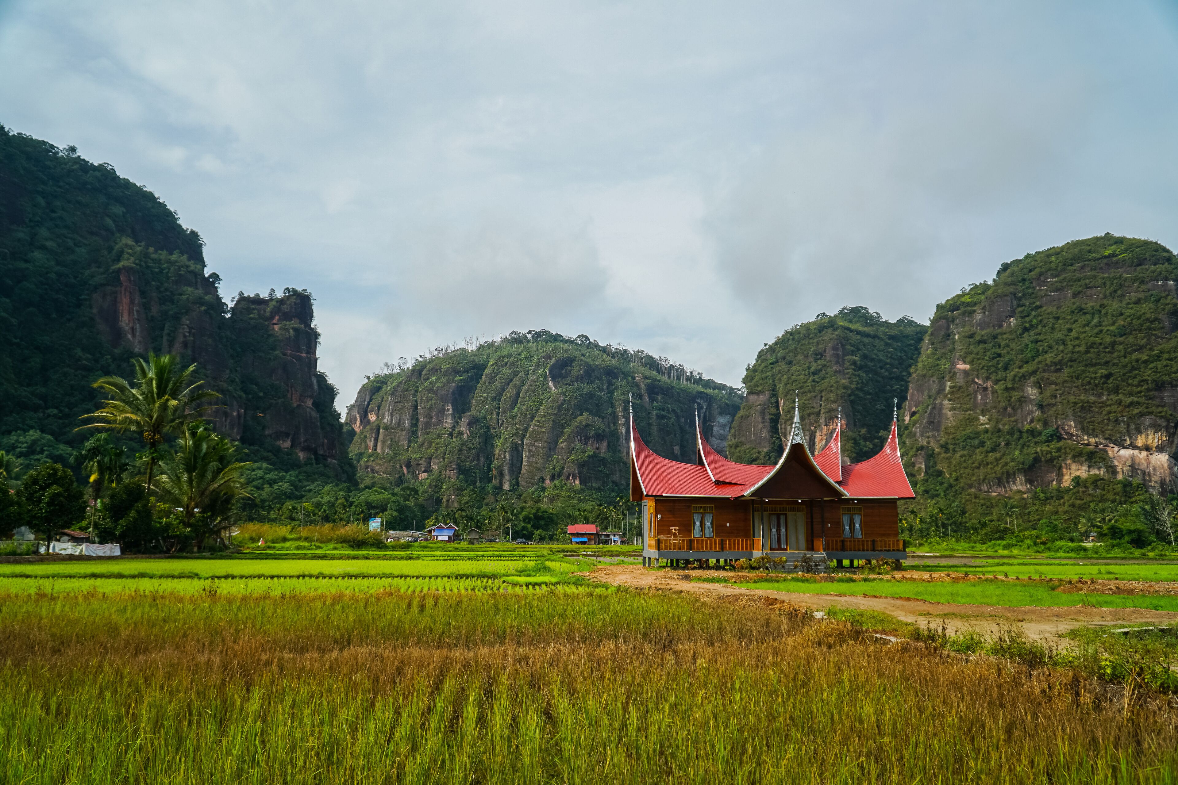 Minangkabau house/Rumah Gadang in a beautiful landscape view of Harau Valley with mountains valley and grass view, West Sumatra, Indonesia. Beautiful Minangkabau, Indonesia Landscape.
