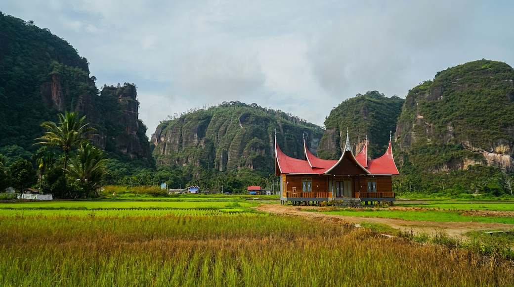Minangkabau house/Rumah Gadang in a beautiful landscape view of Harau Valley with mountains valley and grass view, West Sumatra, Indonesia. Beautiful Minangkabau, Indonesia Landscape.