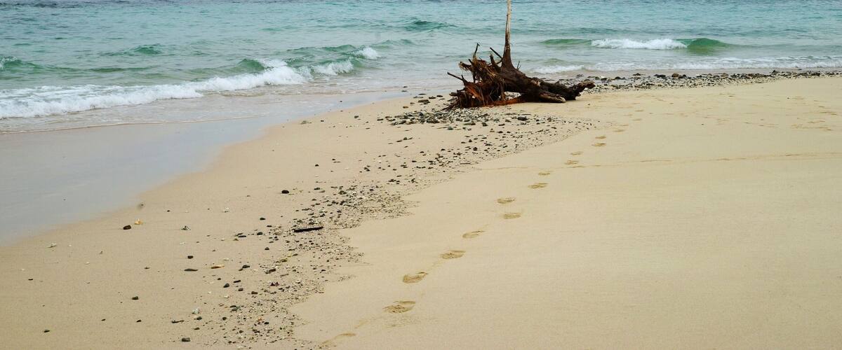 A beach with footprints, a driftwood, and a distant island.