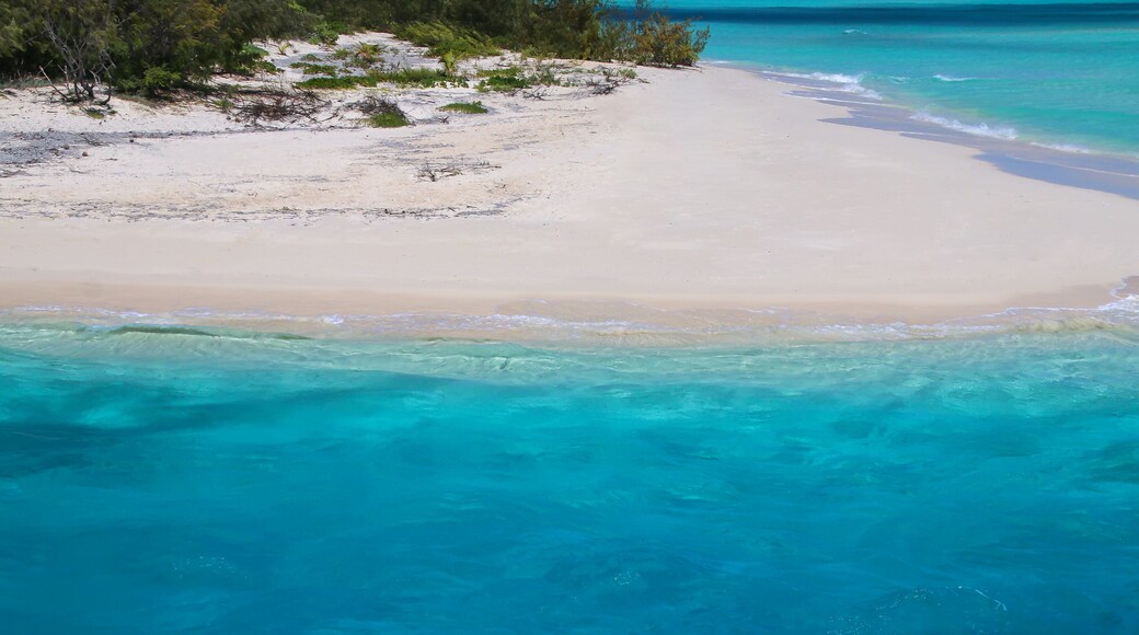 Sandy beach on the shore of Ouvea Lagoon, Mouli Island, Loyalty Islands, New Caledonia.