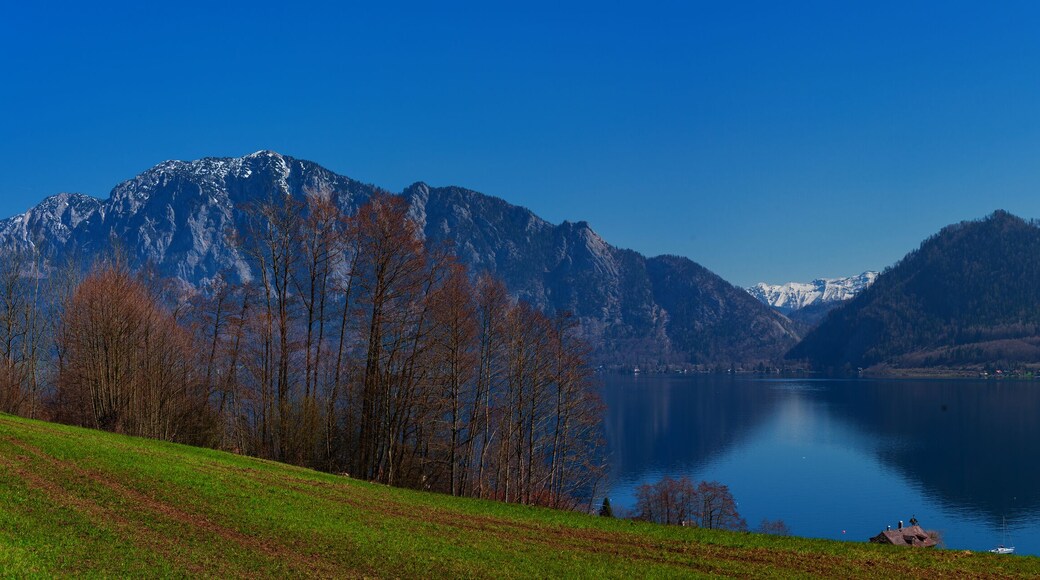 Seewalchen am Attersee