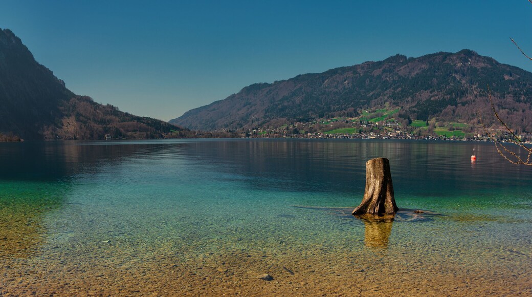 Seewalchen am Attersee