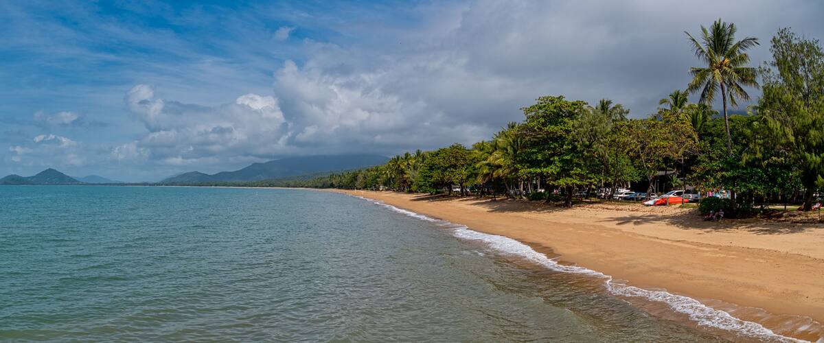A beach with clear blue water, sandy shore, and palm trees.