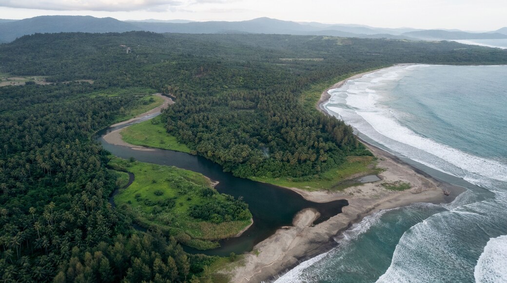 Aerial view of lush green coastline, river meandering through dense forest to sandy beach. South Nias, North Sumatra, Indonesia