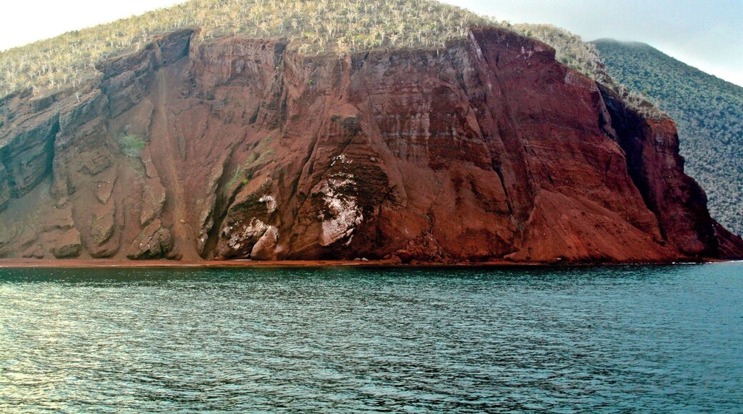 Red beaches and red volcanic rock of Rabida Island, Ecuador - Galapagos. Unique and spectacular landscapes of this archipelago. #waterlust #galapagos