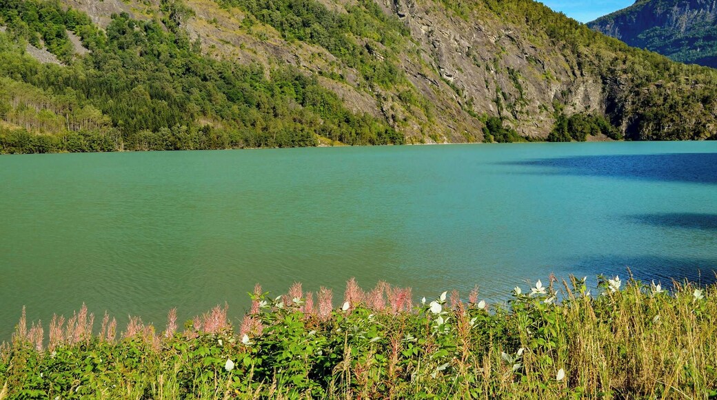 Short walk from the cruise ship mooring to this lovely fyord walk.