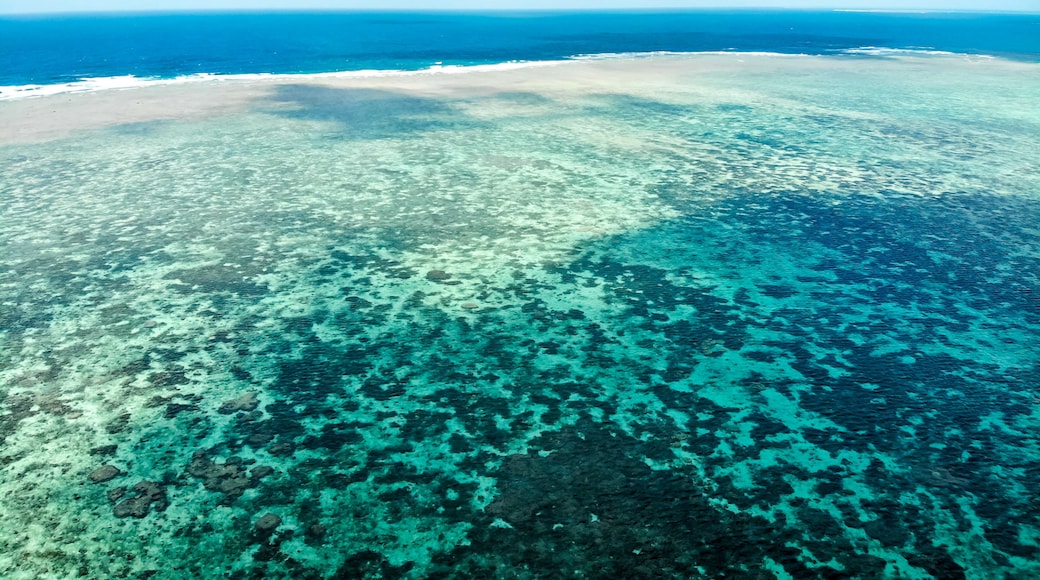 ๋
ธ๋ฅด๋ง ๋ฆฌํ