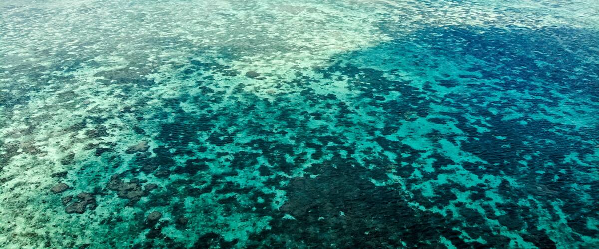 A clear view of a coral reef with shallow waters and a sandy beach.