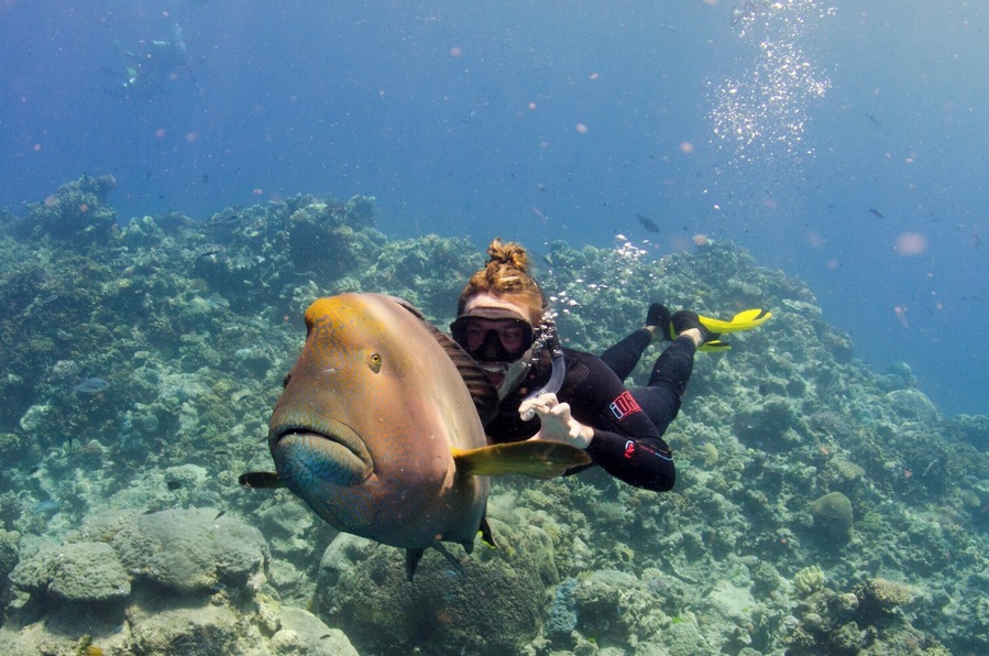 Duck dive down and say hello to Wally - he is super friendly and loves to play!