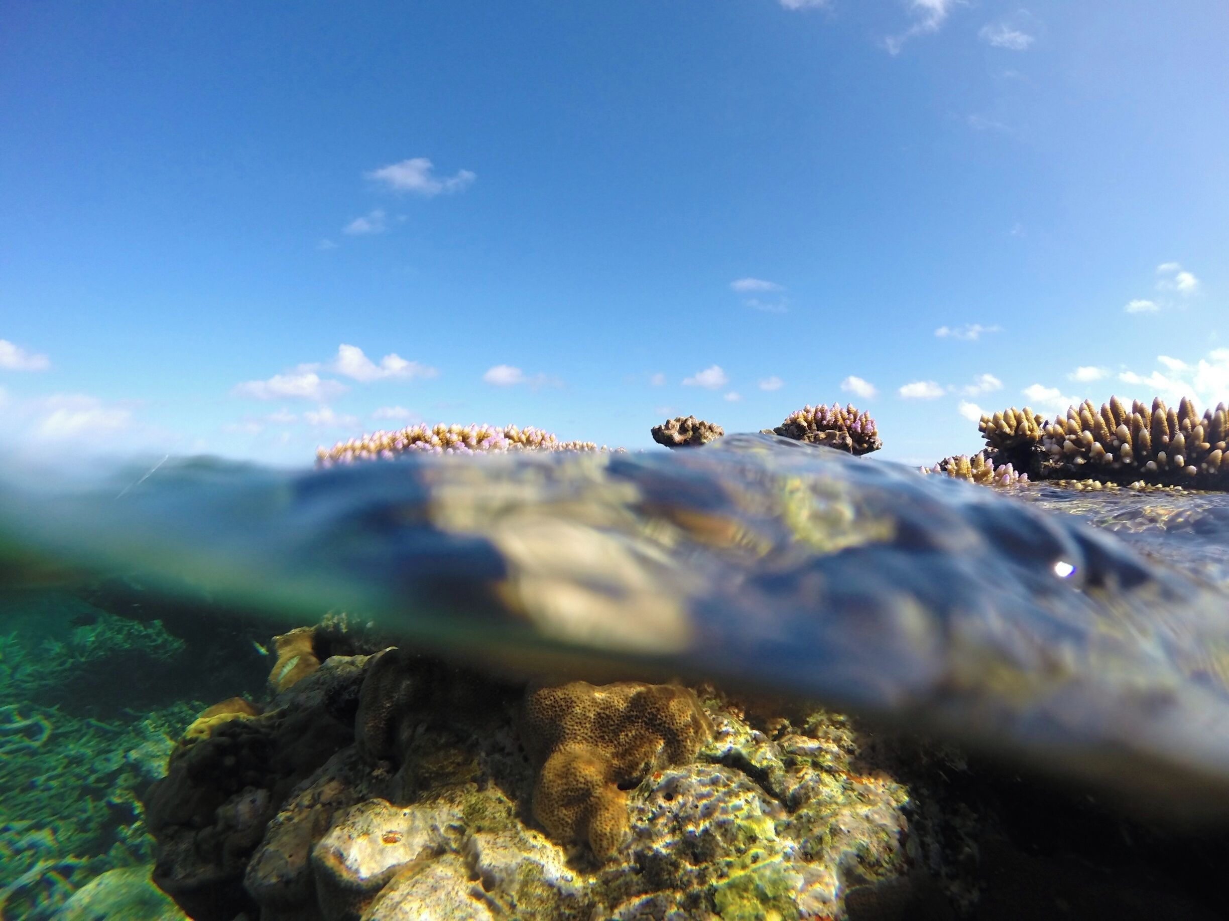 Cairns is the best place to visit the reef because the further south you go, the further away from land the reef goes! Maximise your time out there with a shorter journey. #waterlust #colorful

www.cheskiesgaplife.com