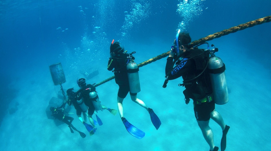 The crystal clear, warm waters of the Great Barrier Reef are one of the best places in the world to learn to dive. With little current, an abundance of marine life and strict safety regulations why go anywhere else?