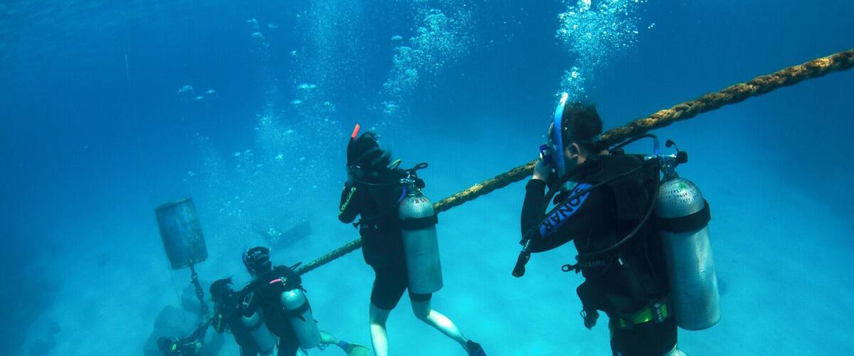 The crystal clear, warm waters of the Great Barrier Reef are one of the best places in the world to learn to dive. With little current, an abundance of marine life and strict safety regulations why go anywhere else?