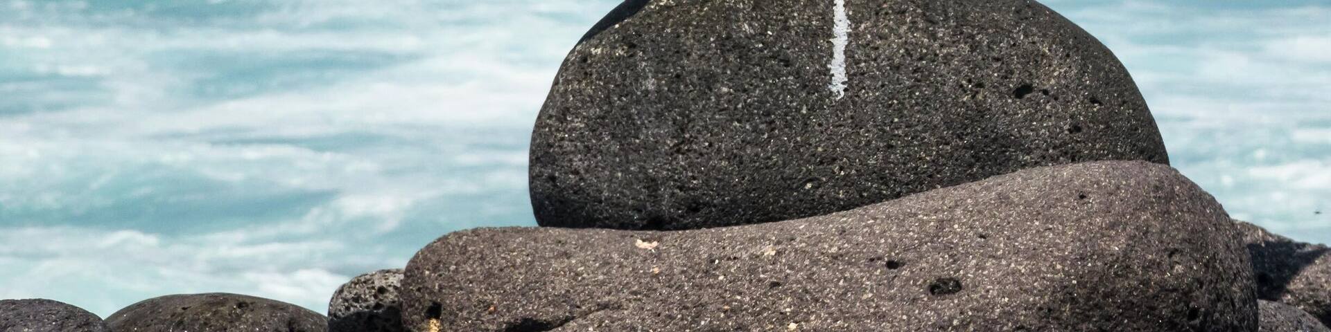 A male blue footed booby spreads its wings to woo his lady love. The females are often picky and can choose to mate with any of their various suitors. The game continues till the female picks her suitor.
#blue #galapagos