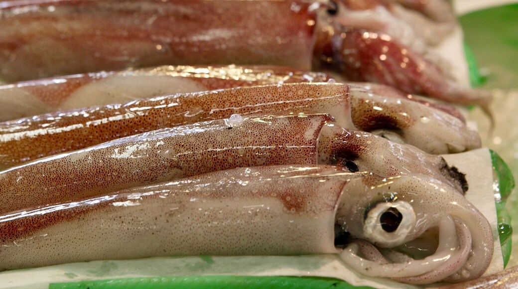 squid/Sakaiminato,Tottori