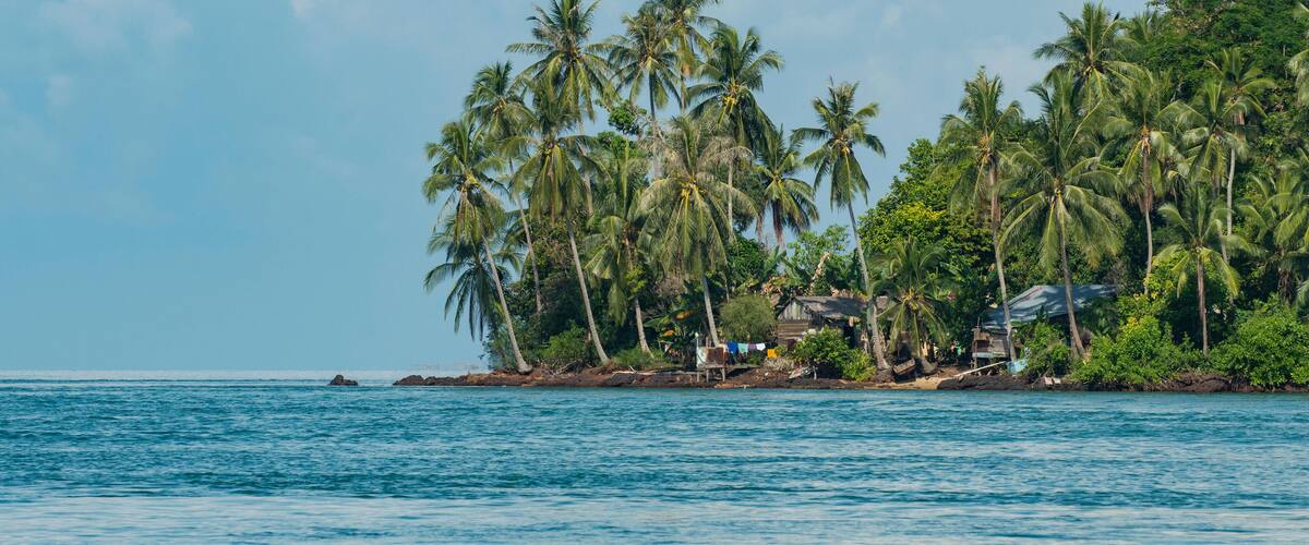 A tropical island with palm trees and a small settlement by the sea.