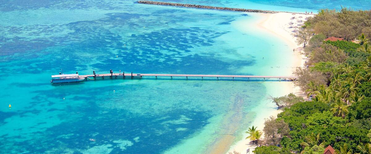 New Caledonia which includes coral and a beach