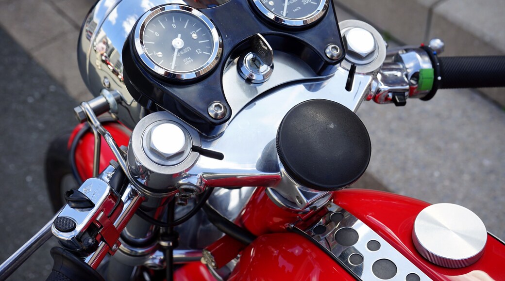 ๋ณด๋ฅด๊ณ ํ๋๊ฐ๋ 