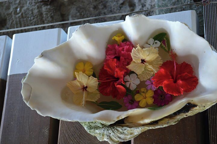 So pretty.  Check out the size of the shell and the beautiful tropical flowers on and around this Island
