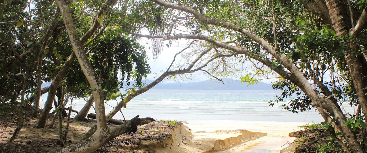 A beach with a narrow water channel surrounded by trees.