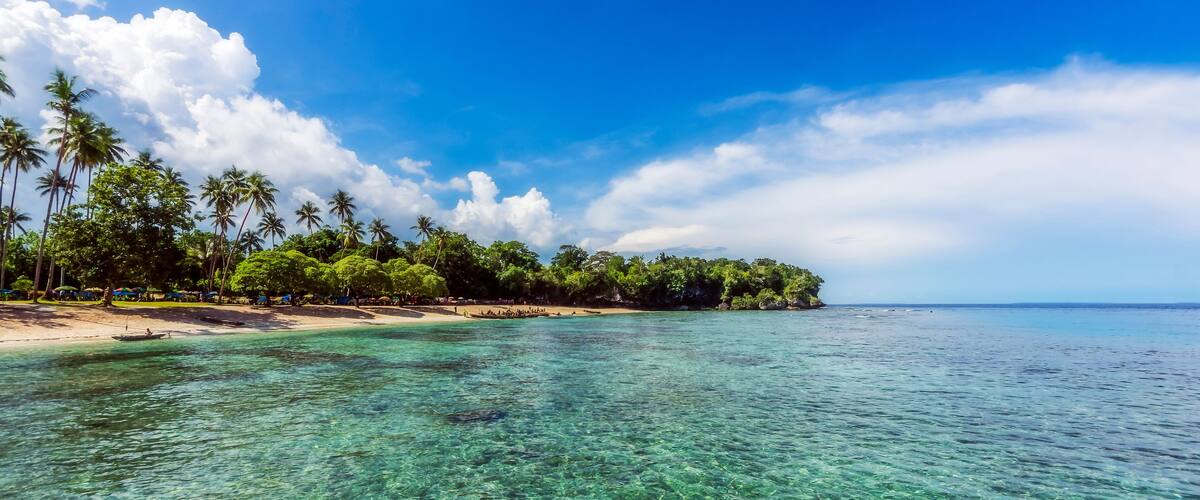 A tropical beach with clear turquoise water, palm trees, and a sandy shore.