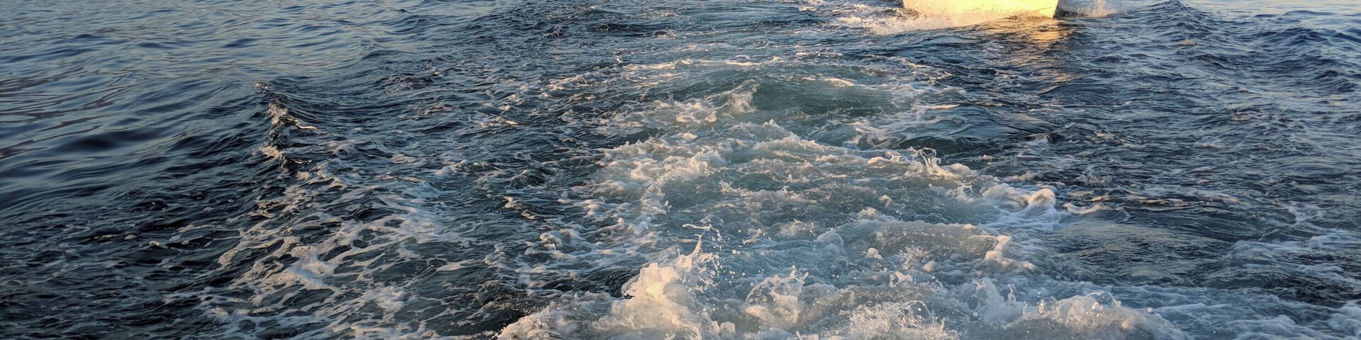 #LifeatExpedia
3 words to describe the adventure at Musandam Sea Cruise - Serene, Mystic, Heaven