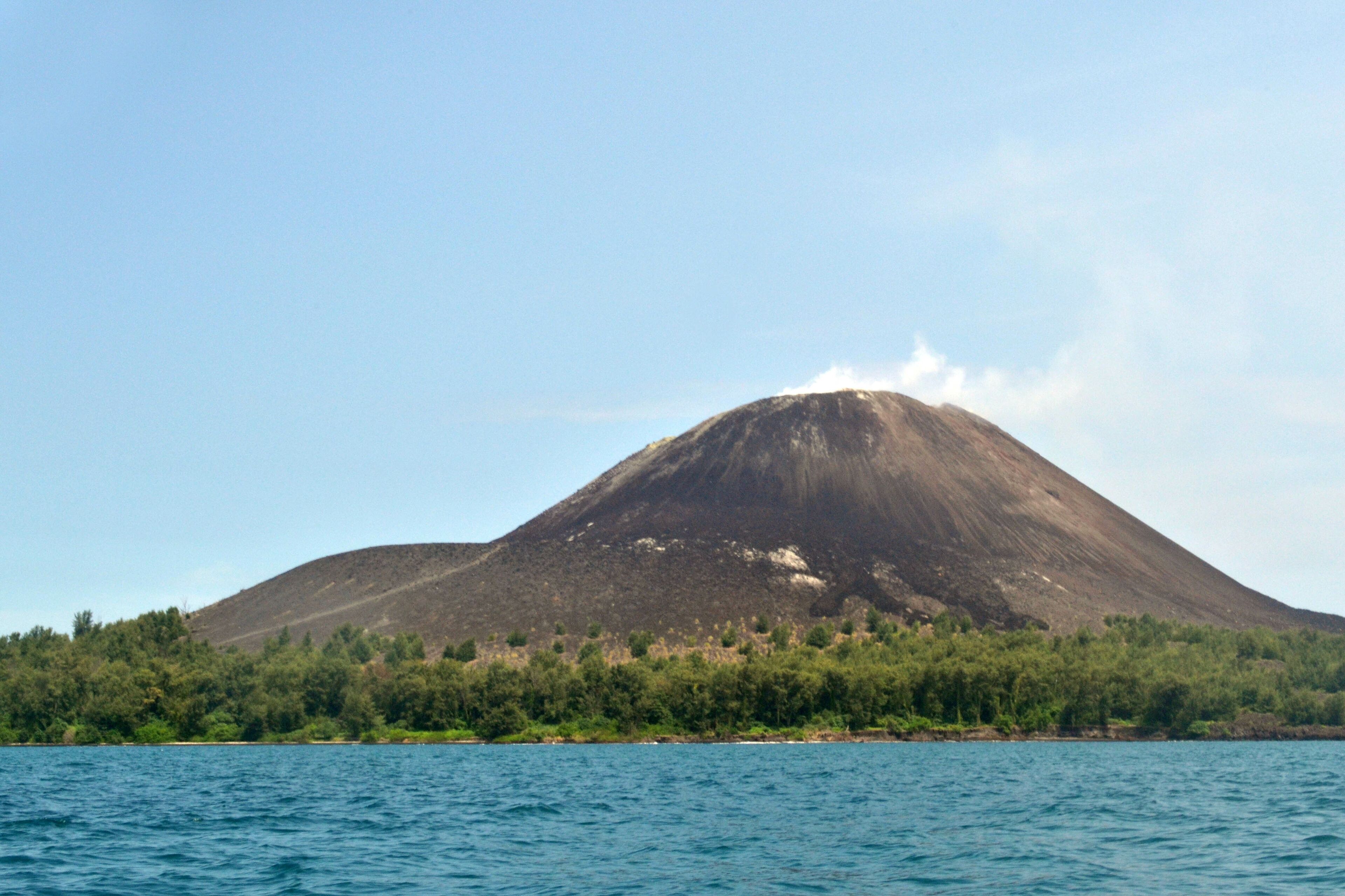 A volcano with a forested base and a clear sky.