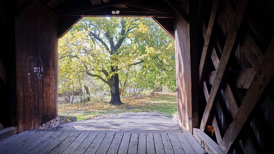 A wooden covered bridge with a view of a large tree and autumn leaves.